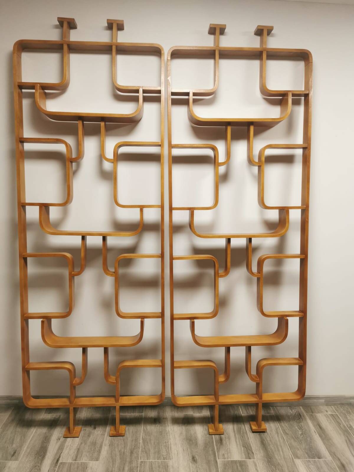 Room Dividers by Ludvik Volak for Drevopodnik Holesov, 1950s, Set of 2