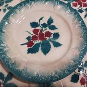 Set of 5 vintage dessert plates Faïencerie de Castres Model Fruits