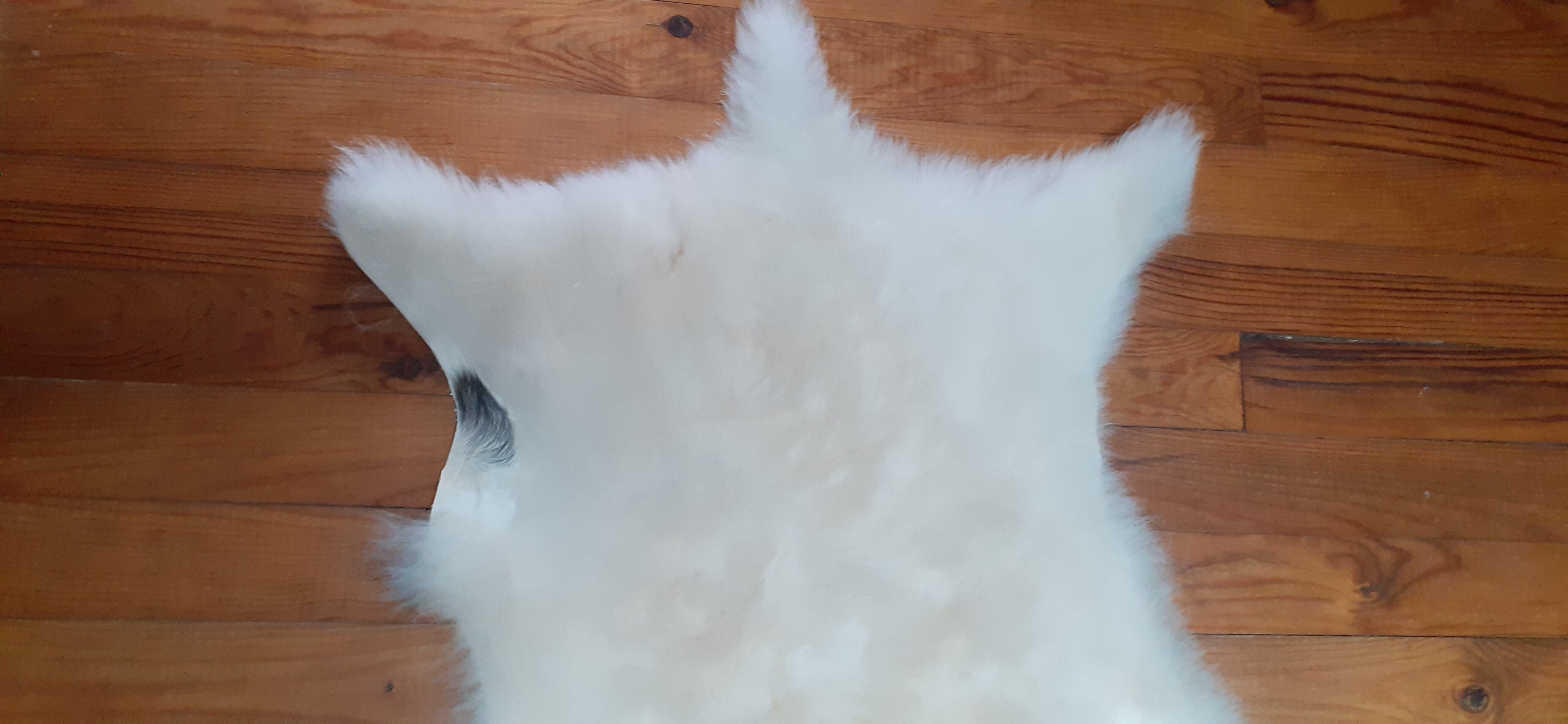 New sheepskin