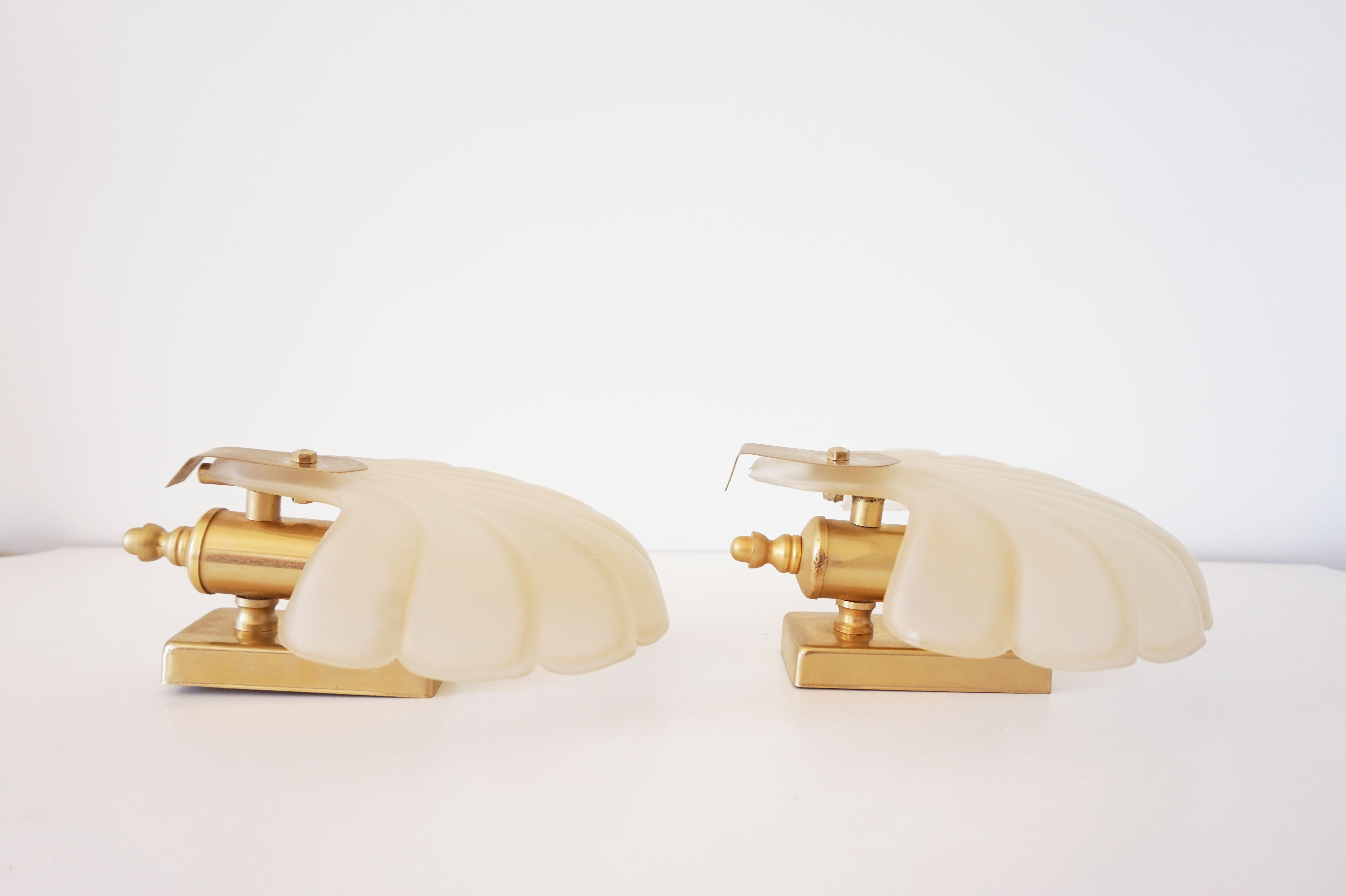 Pair of glass shell sconces