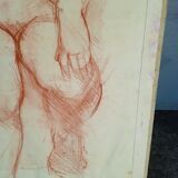 Drawing sanguine study nude female 67/50cm 1950