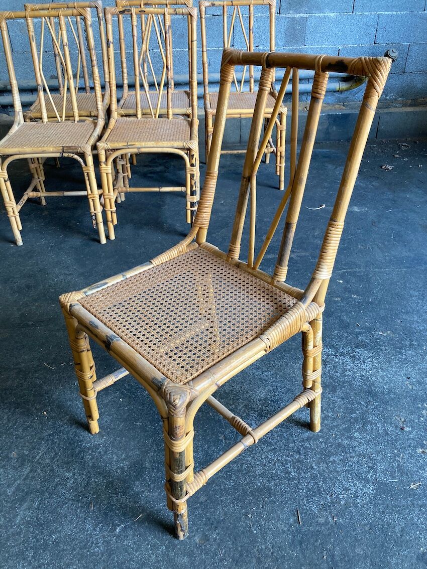 Set of 6 rattan chairs with cannate seats
