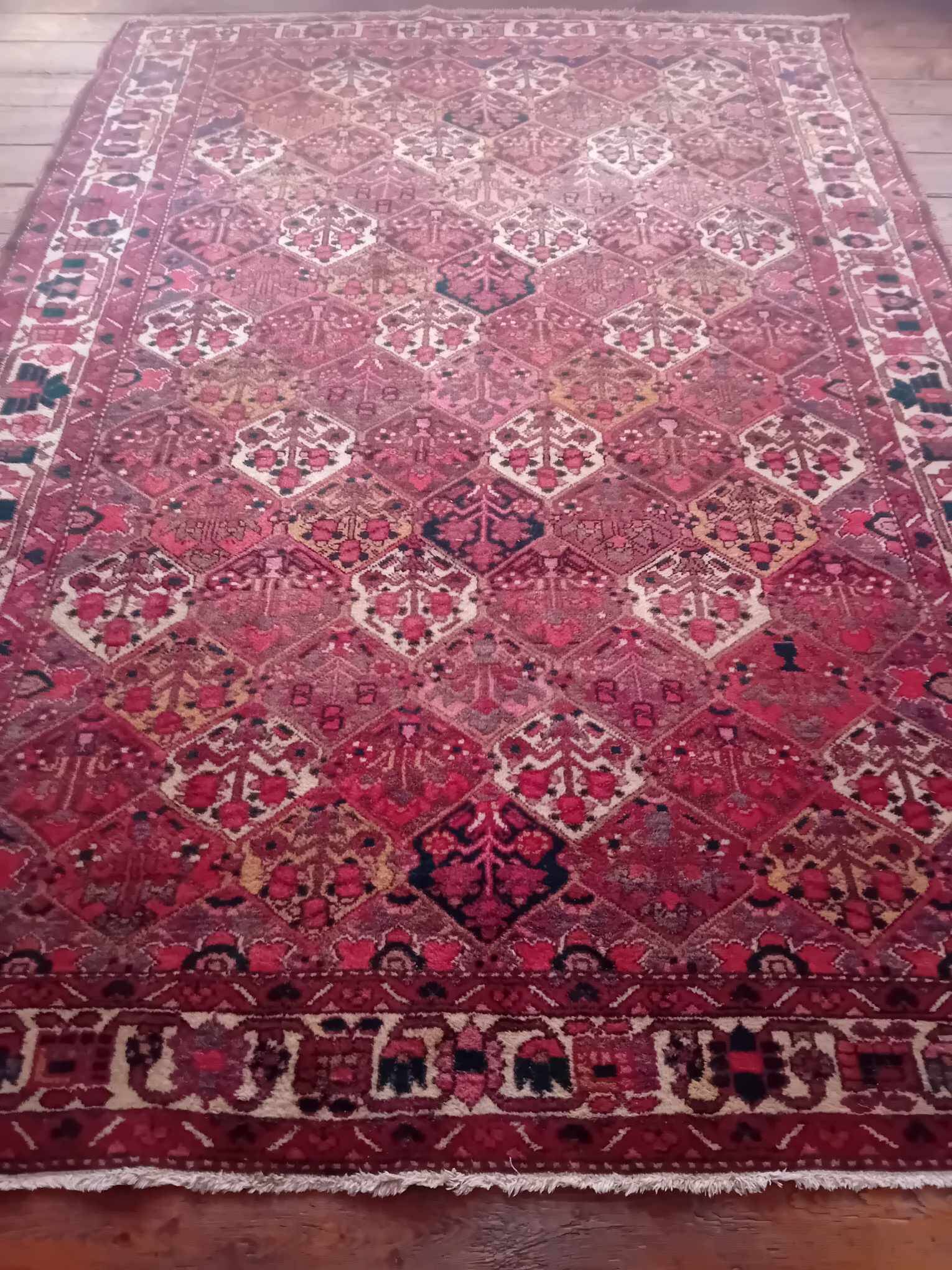 Handmade Persian Bachtiar Rug 295x204cm