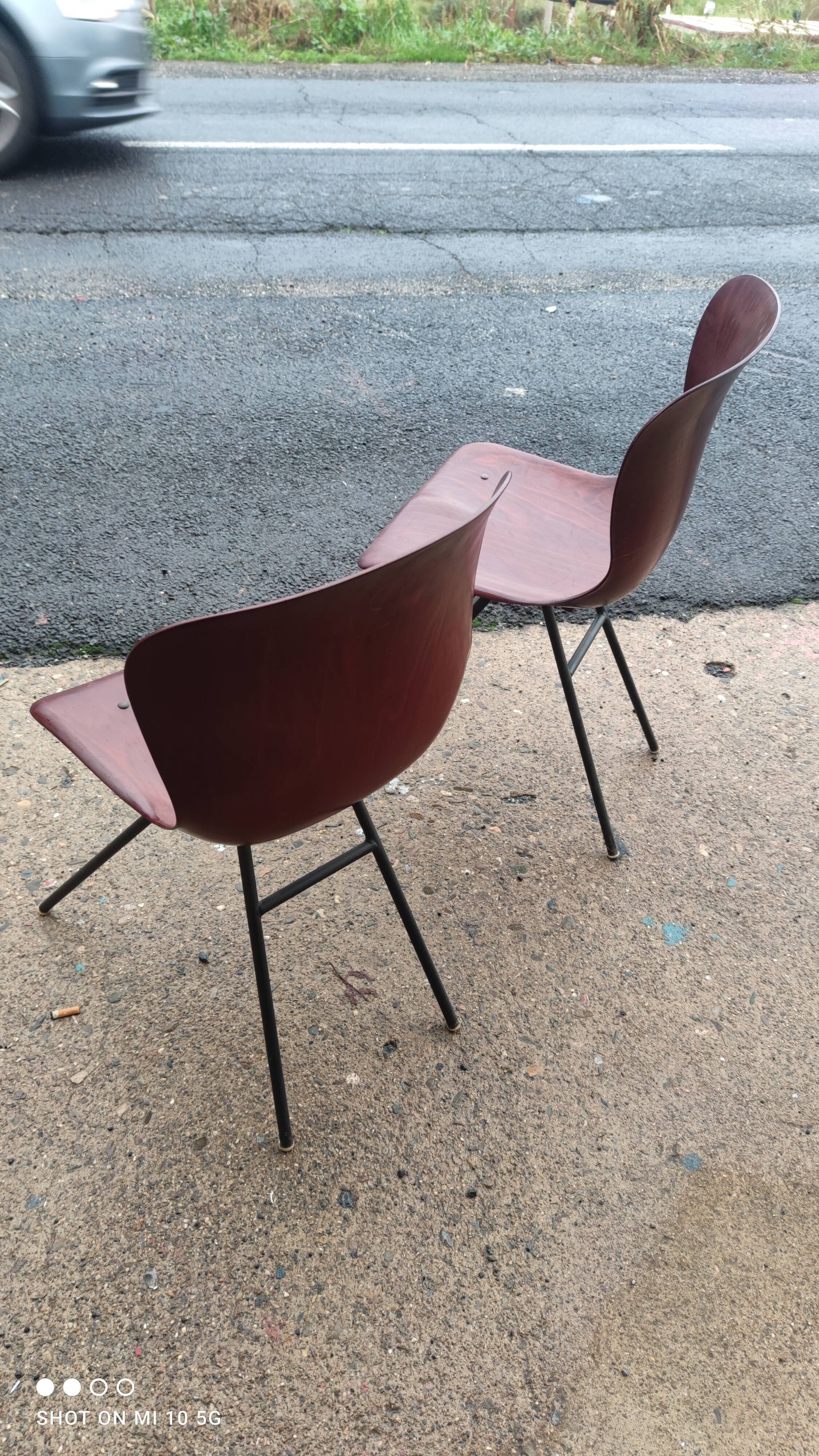 Pair of Pagholz chairs, Model 15074, by Elmar Flottoto in 1956