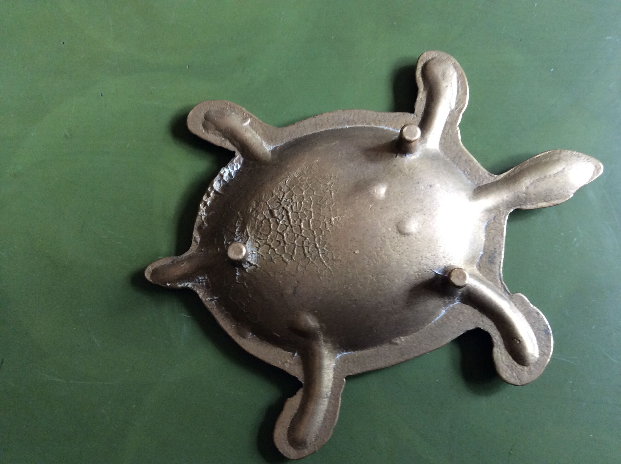 Empty brass turtle pocket