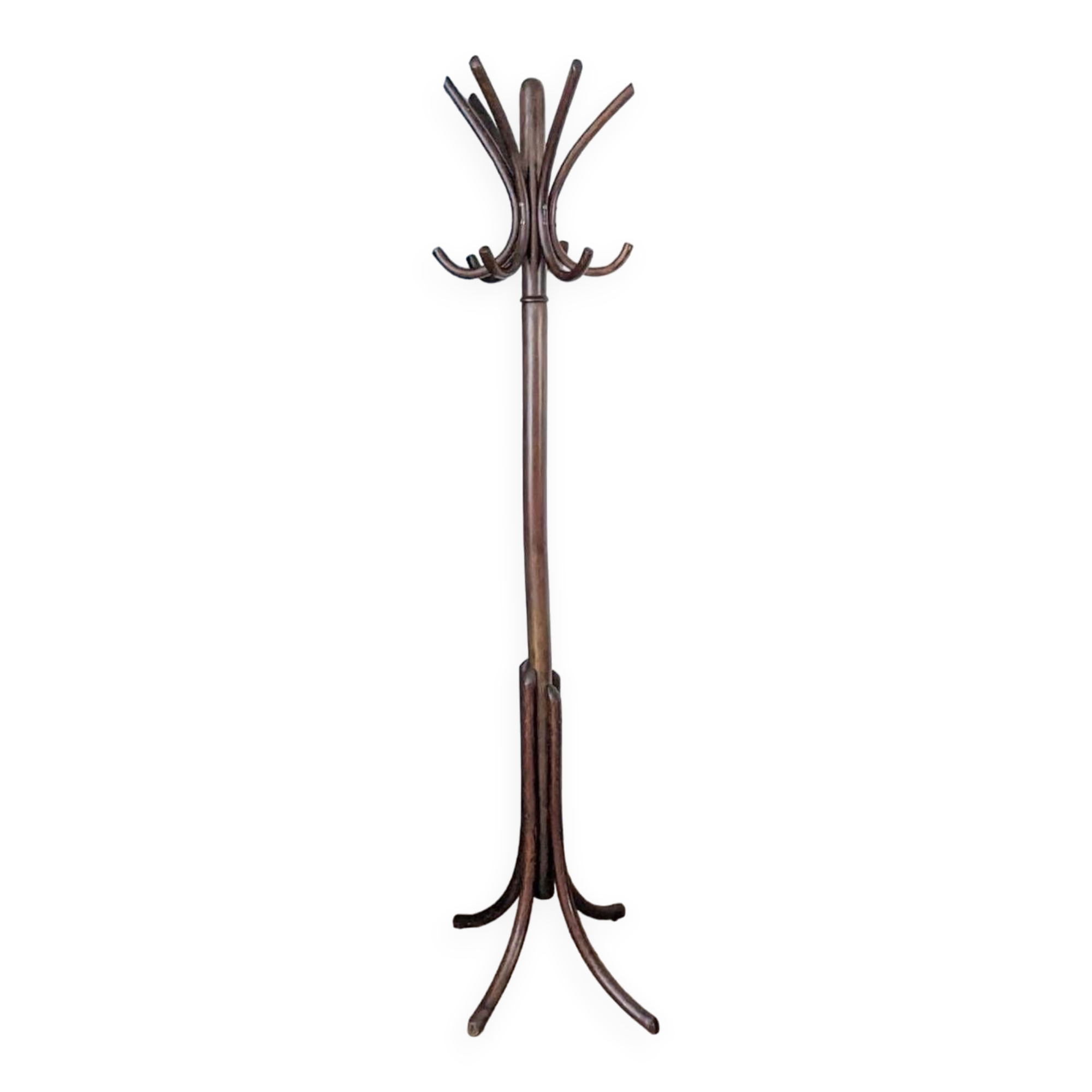 Bistro parrot coat rack