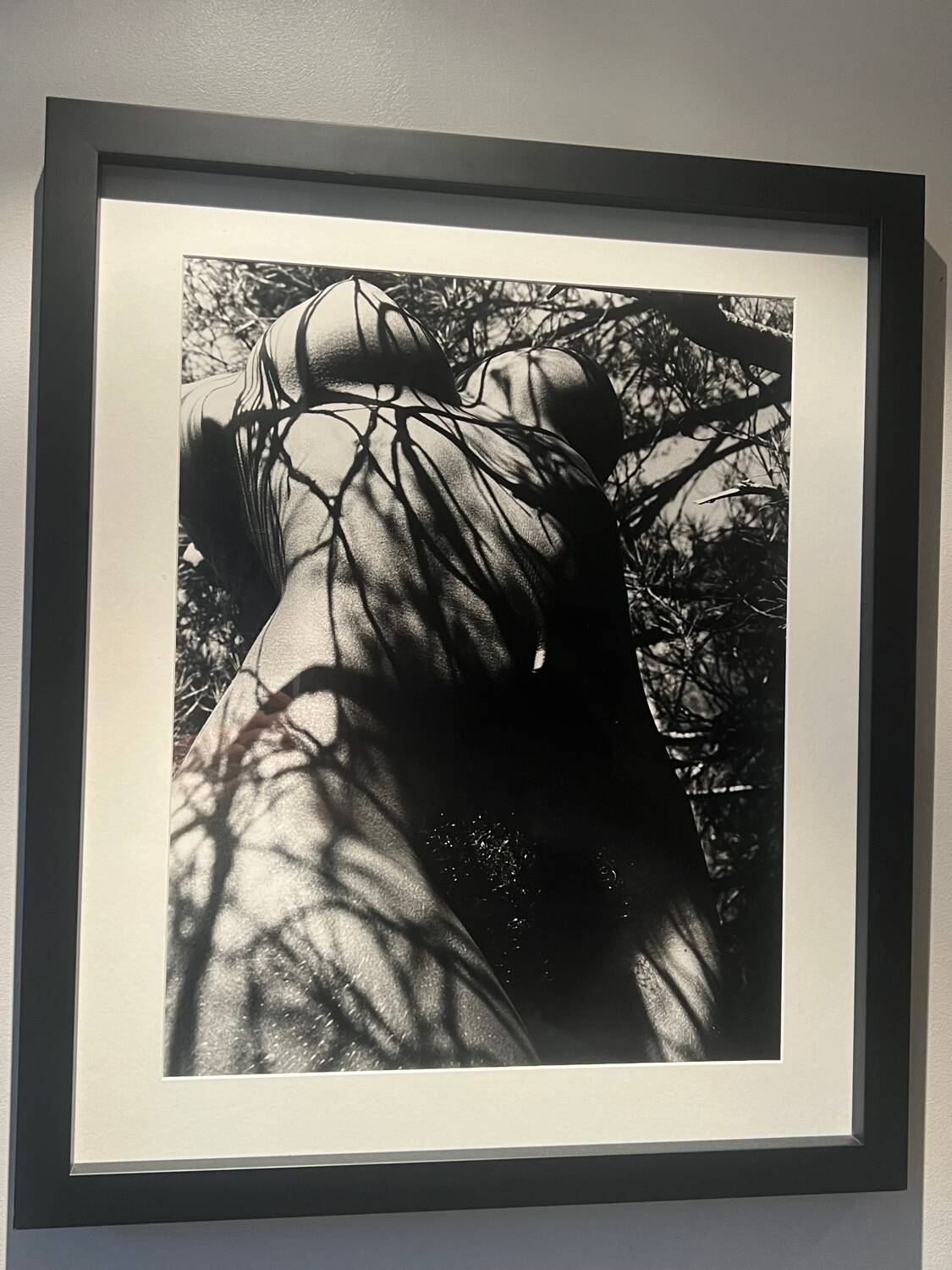 Lucien Clergue (1934-2014) - Nude in the forest 1973 Original Numbered Print