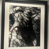 Lucien Clergue (1934-2014) - Nu dans la forêt 1973 Tirage Original Numéroté
