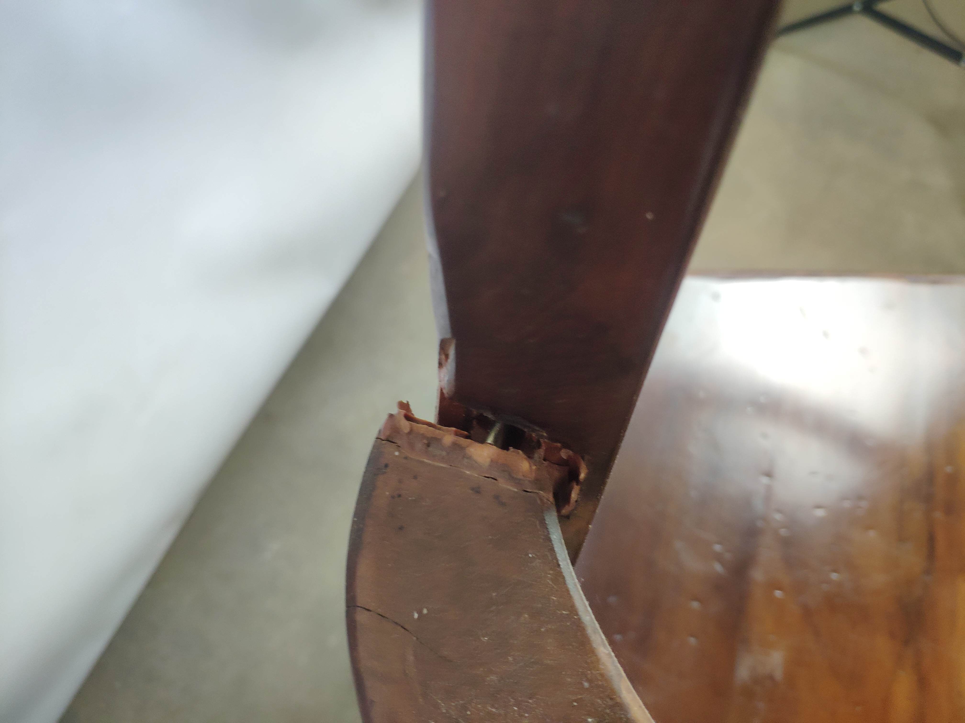 Renaissance moulded walnut chairs