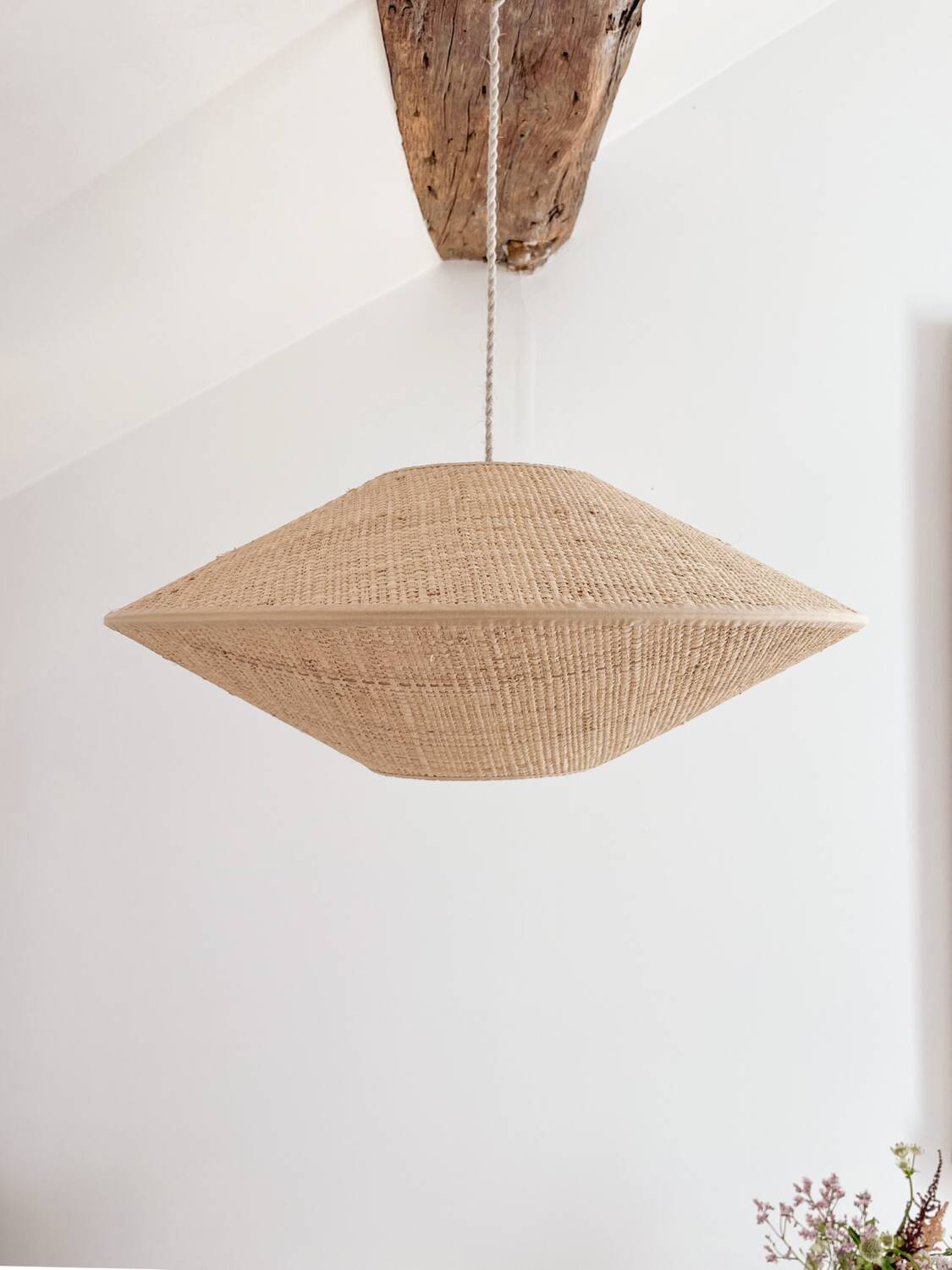 Rabane pendant light