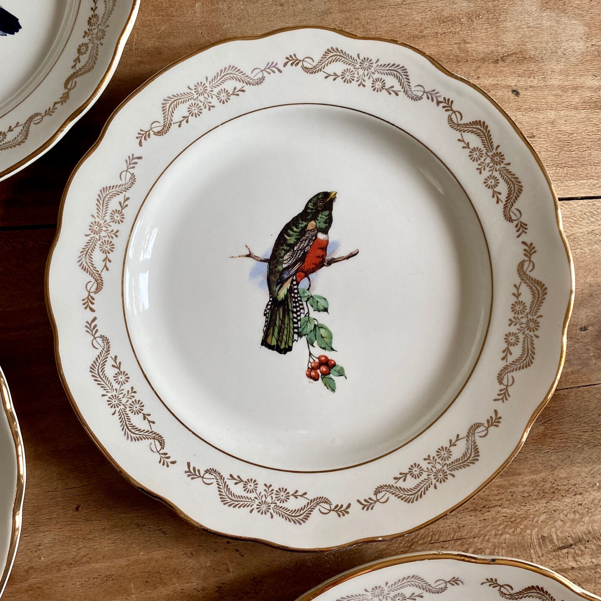 Set of 6 vintage flat plates, model Moineaux de Paris de Gien