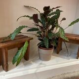Brutalist pair of bedside tables