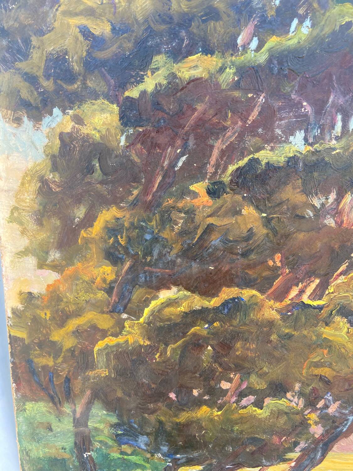 Still life of a seascape