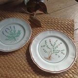 Set of 2 Longchamp plates with herbarium decor