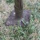 Pair of feet cast iron XIX th florist stall