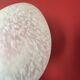 Egg lamp
