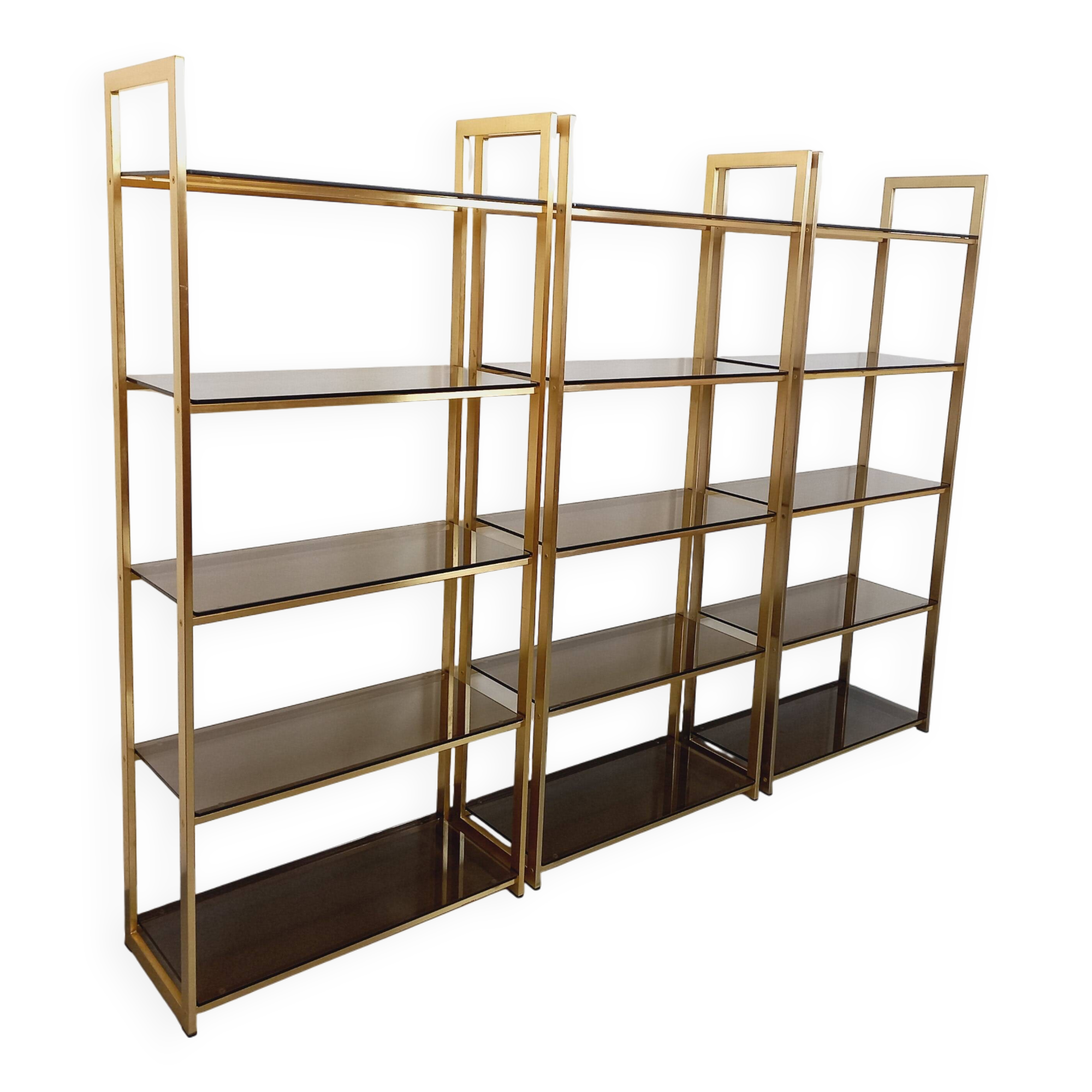 Artelano vintage bookcase shelves in gold metal smoked glass from the 70s