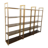 Artelano vintage bookcase shelves in gold metal smoked glass from the 70s
