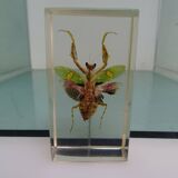 Lot 4 insects inclusion resins to identify vintage
