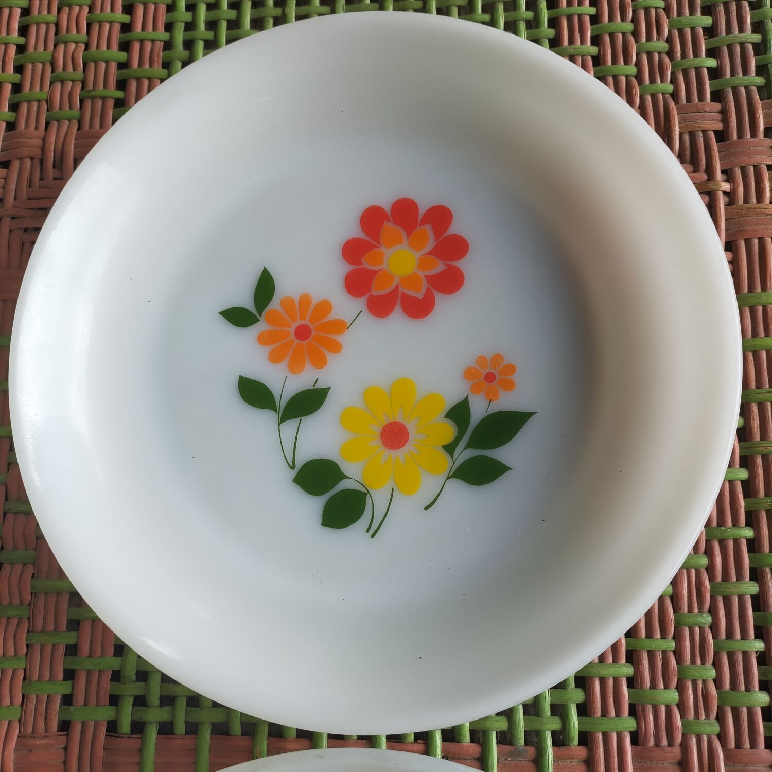 Arcopal seventies plates