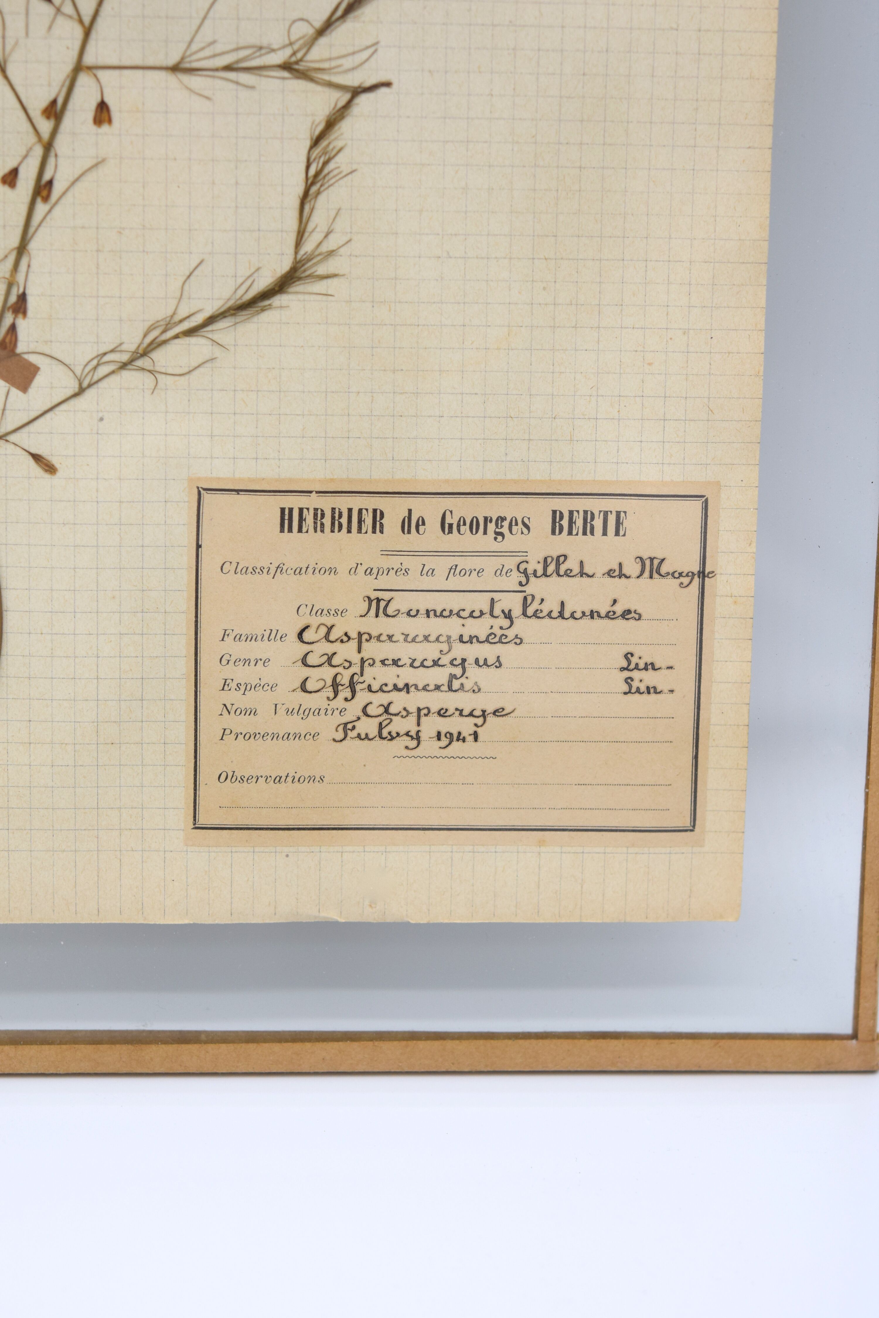 George Bert Herbarium