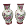 Pair of large vases Old Strasbourg