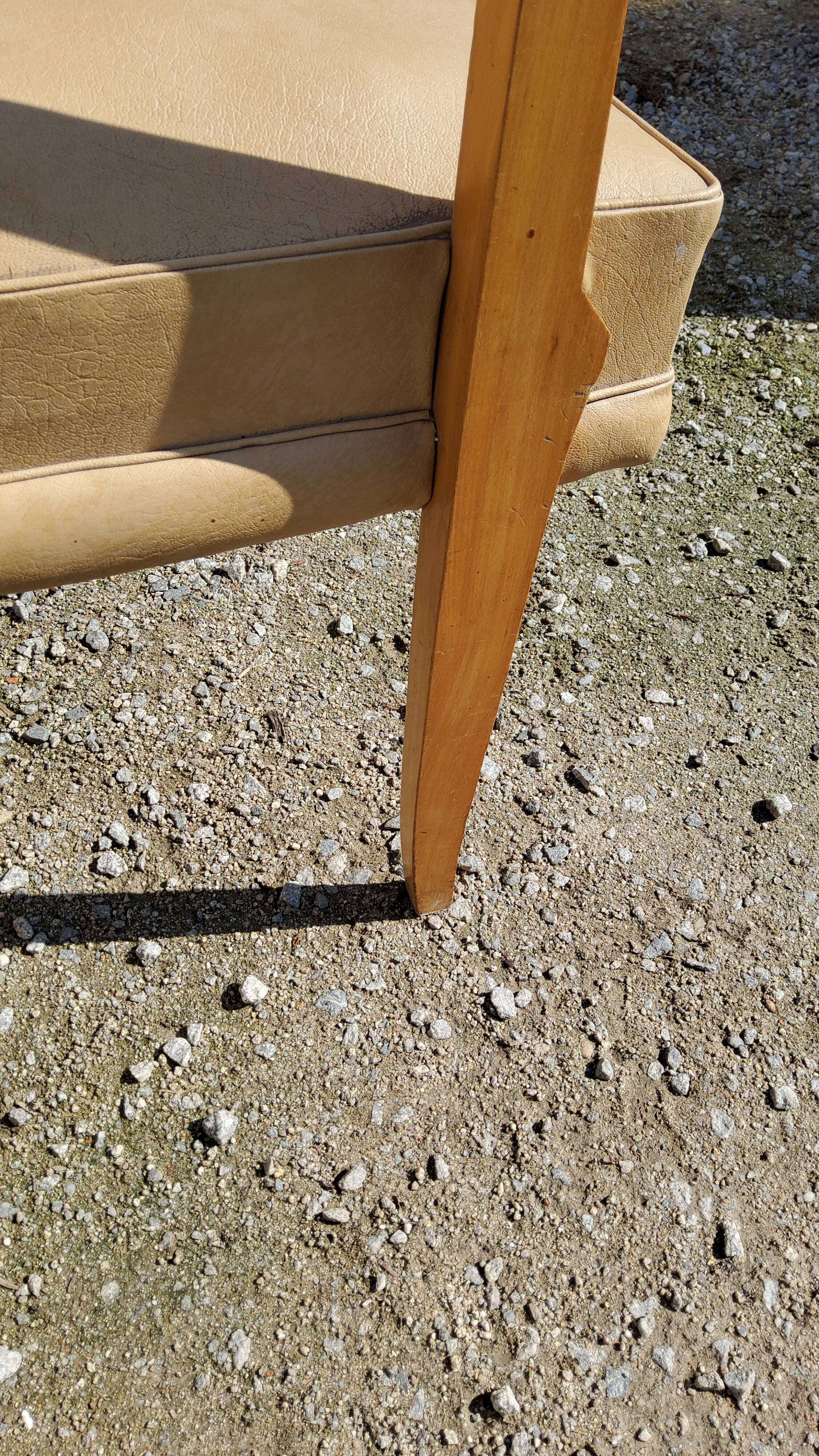 Office armchair from the 50s in beech tinted sycamore and moleskine