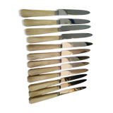 Set of 12 horn handle knives