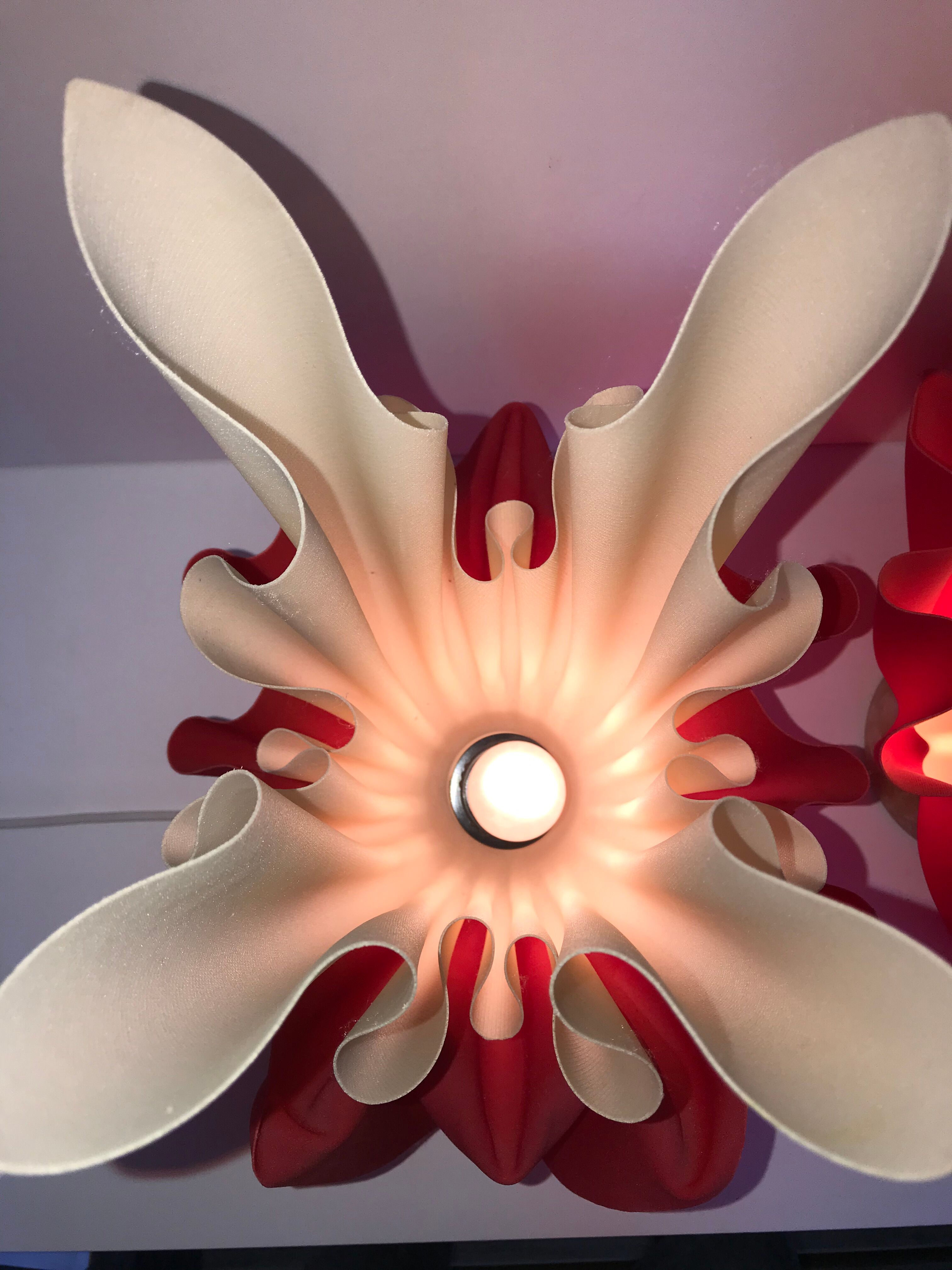 Pair of two-tone handkerchief lamps