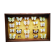 Butterfly entomology frame showcase