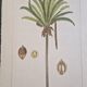 La Roche Laffitte (Born in 1943) - Watercolour drawing on silk - Palm tree