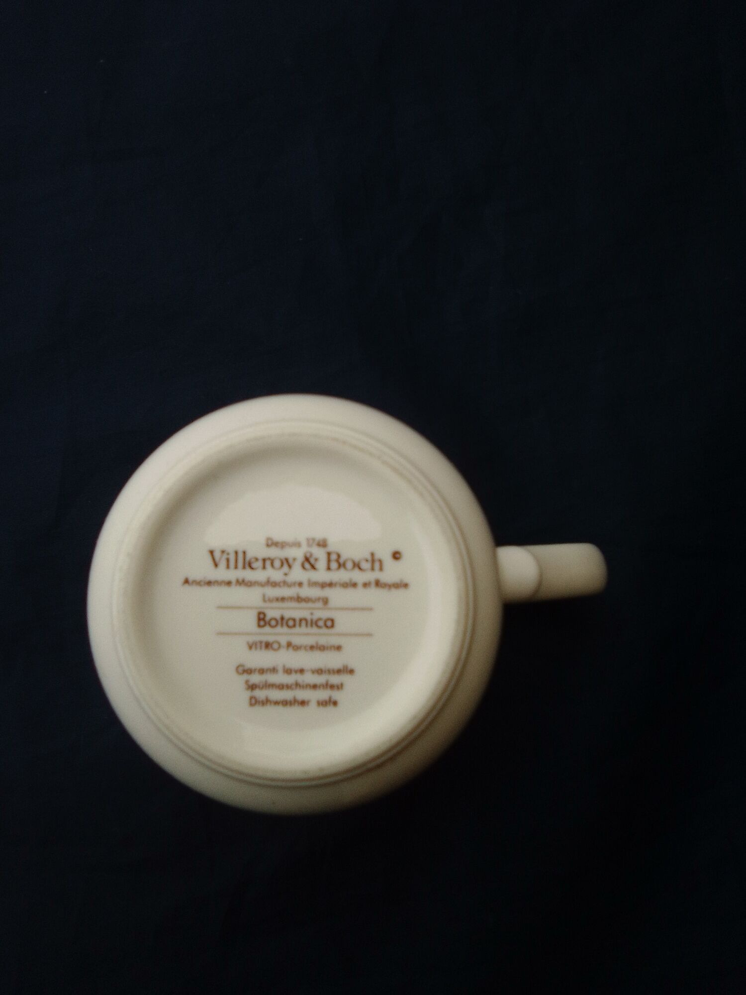 Mug in vitro porcelain Villeroy & Boch model Botanica Camellia Ssnensis S H 9 cm