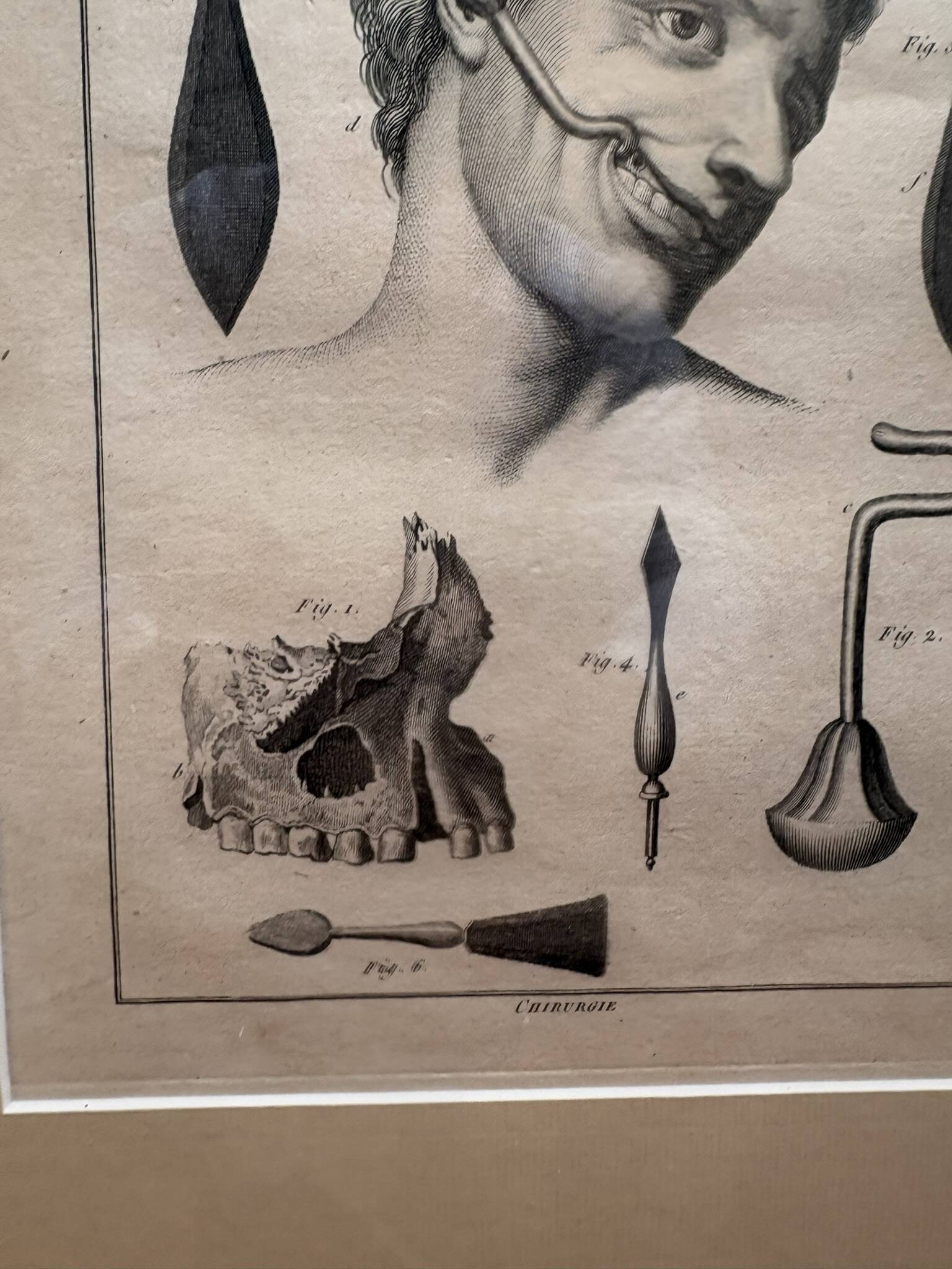 Old Print Engraving Framed Aphorisms Surgery Anatomy Herman Boerhaave