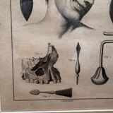 Old Print Engraving Framed Aphorisms Surgery Anatomy Herman Boerhaave