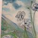 Le pied de coquelicots blanches, signé Maurice Bouillot 1972