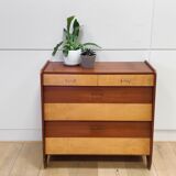 Mid-century shoe cabinet
