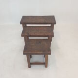 Set of 3 Brutalist Wooden Nesting Tables, Holland 1960s