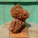 Rose des sables sur socle
