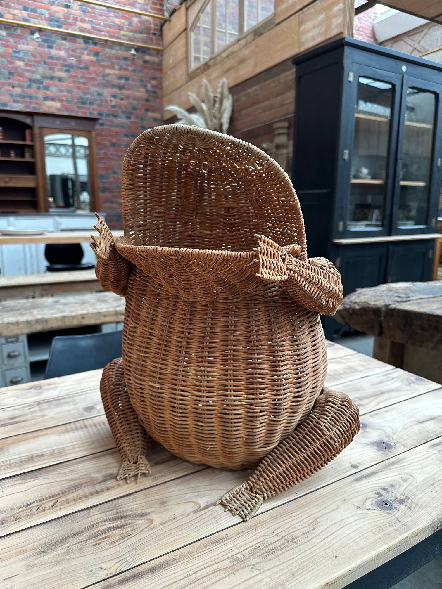 Frog magazine rack by Olivier Cajan