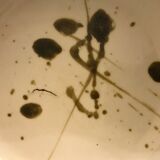 Saladier or serving dish in enamelled sandstone La Poterie de la Colombe