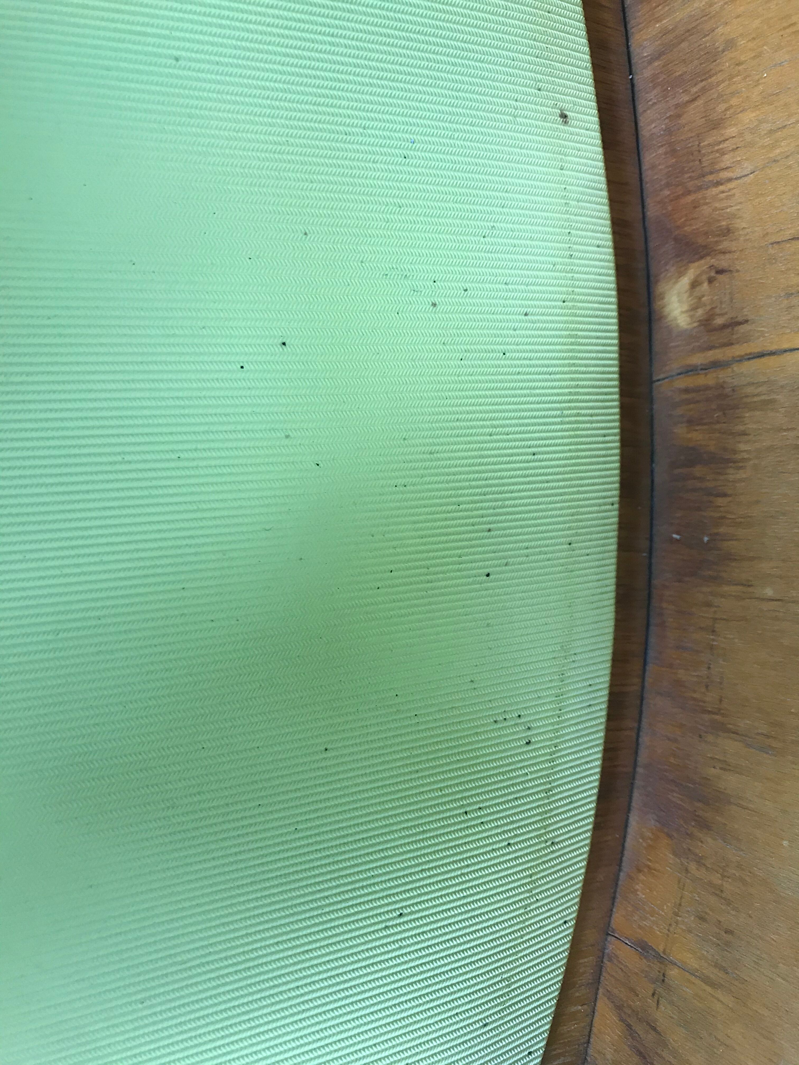 4 Baumann 1950 Max Bill chairs