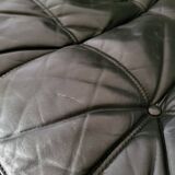 Kashima model sofa by Michel Ducaroy for Ligne Roset