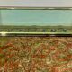 Glass coffee table, chromed steel, Design Italy 1960