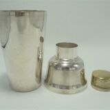 Silver metal shaker