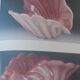 Vide poche, cendrier en opaline rose et verre Lattimo par Fratelli Toso, Italie