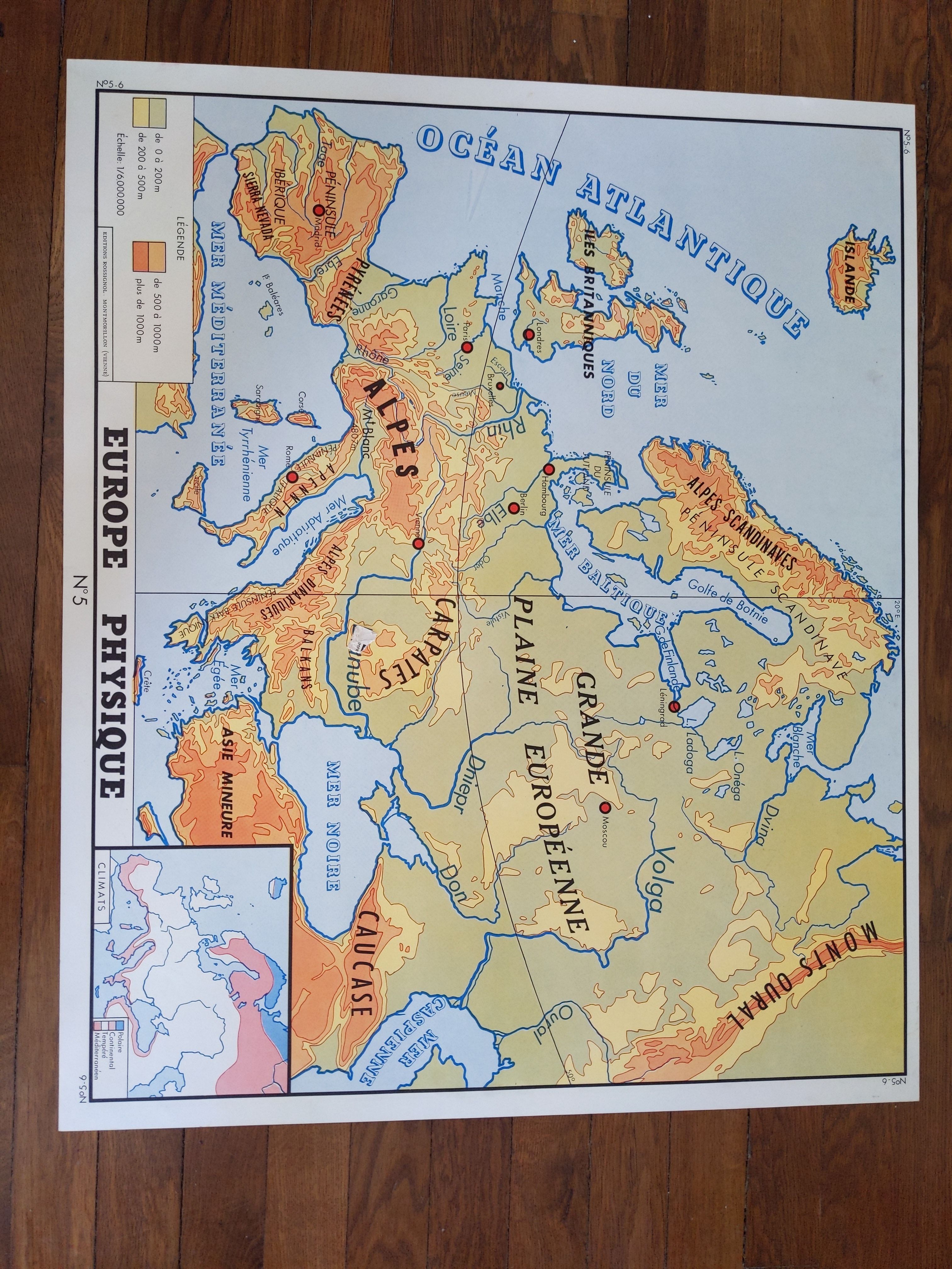 Old vintage school poster 60s nightingale Europe and Africa