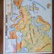 Old vintage school poster 60s nightingale Europe and Africa