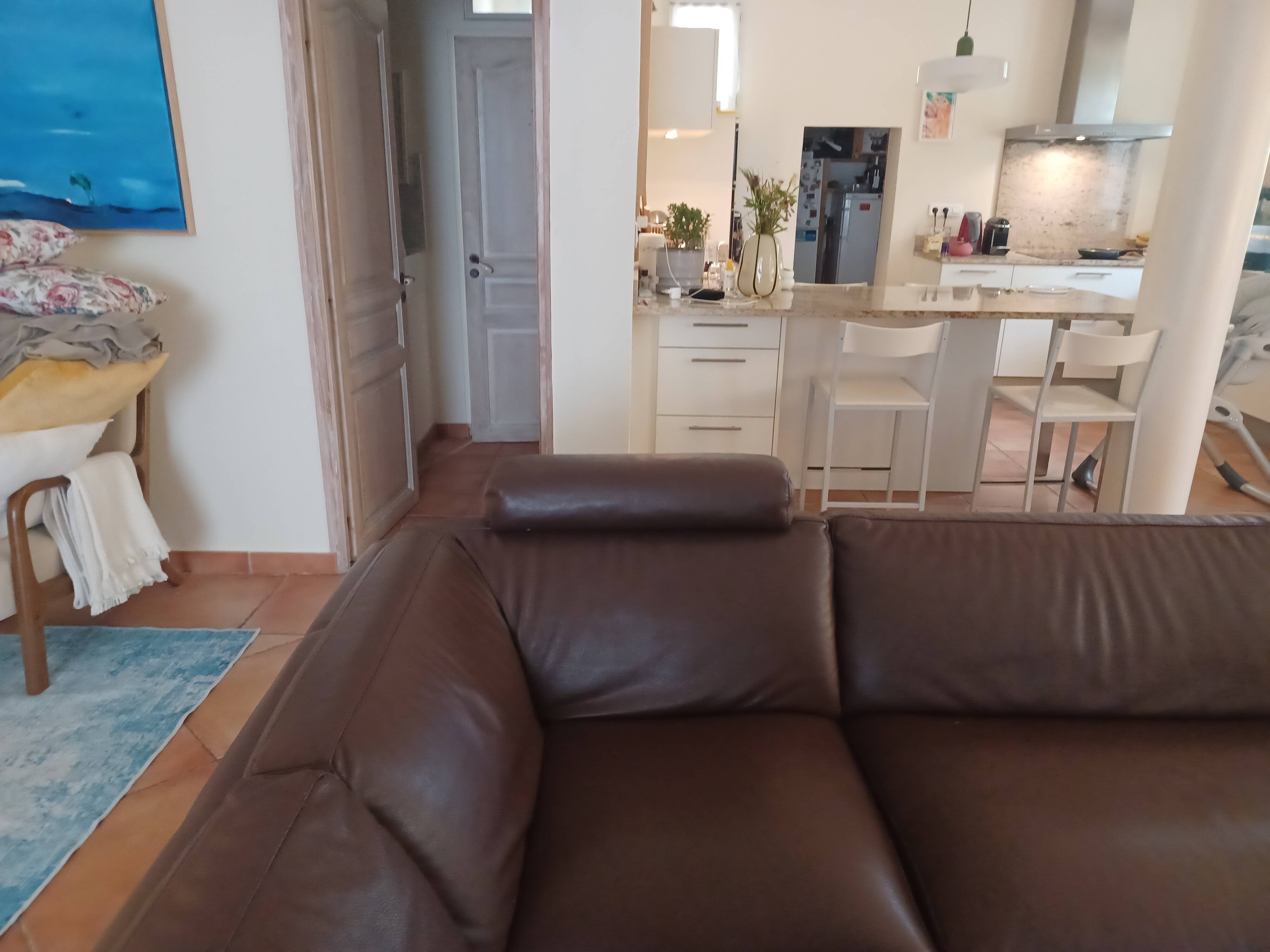 Canape roche bobois islande