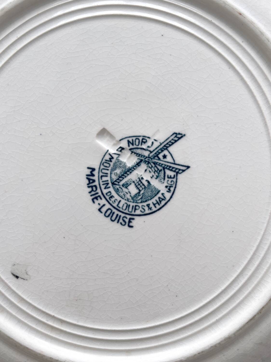 2 flat ironstone plates “Marie Louise” Saint Amand and Hamage