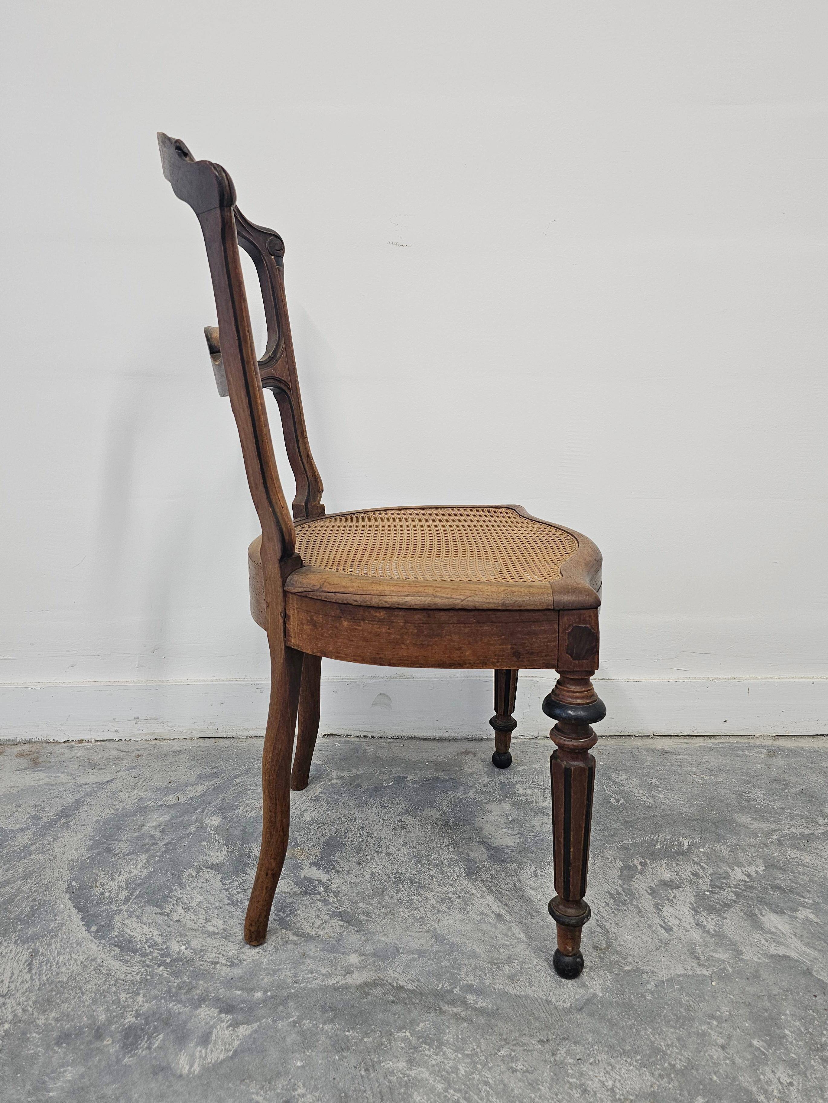Set of 6 antique dining chairs in solid walnut, cane seats, 19th century.